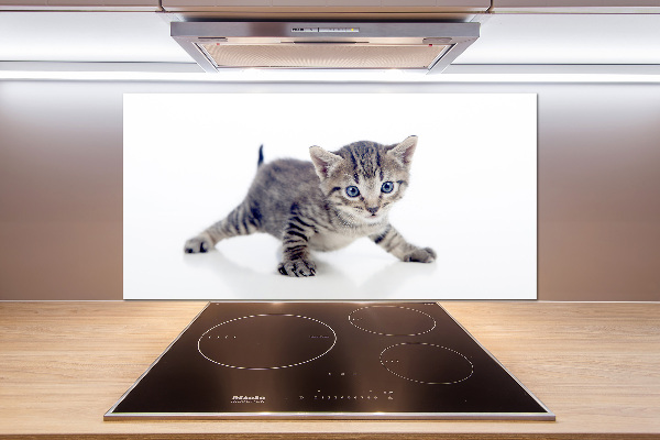 Achterwand keuken Kleine kat