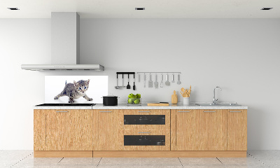 Achterwand keuken Kleine kat