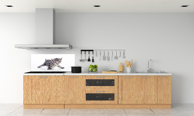 Achterwand keuken Kleine kat