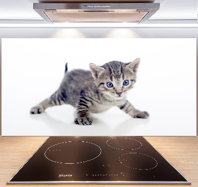 Achterwand keuken Kleine kat