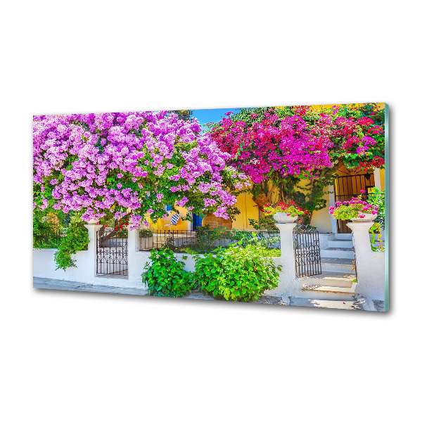 Glazen achterwand keuken Huis met bougainvillea