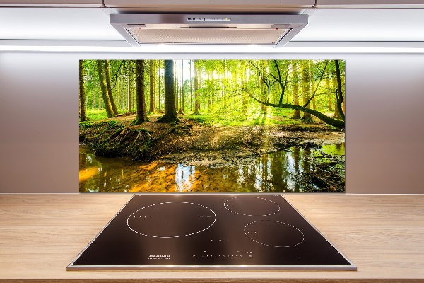 Spatscherm keuken Een vijver in het bos