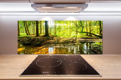 Spatscherm keuken Een vijver in het bos
