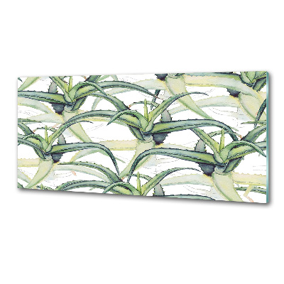 Keuken achterwand Aloë