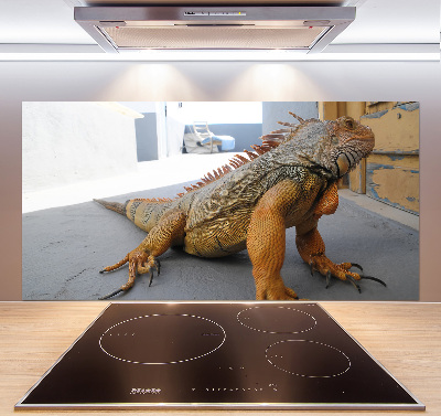 Achterwand keuken Leguaan