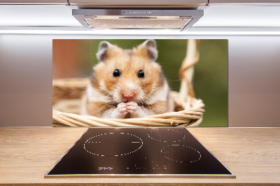 Spatscherm keuken Hamster in een mandje
