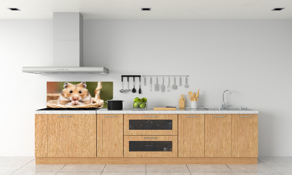 Spatscherm keuken Hamster in een mandje