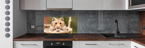Spatscherm keuken Hamster in een mandje