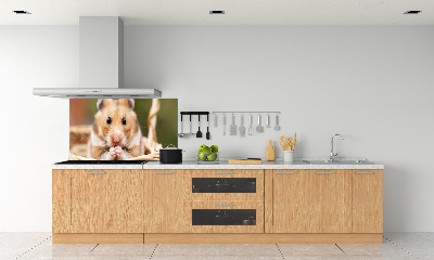 Spatscherm keuken Hamster in een mandje