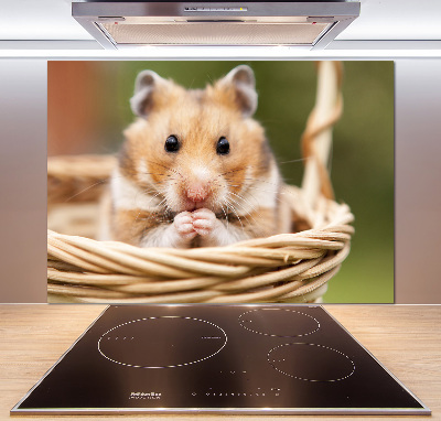 Spatscherm keuken Hamster in een mandje
