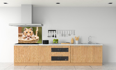 Spatscherm keuken Hamster in een mandje