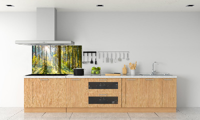 Keuken achterwand Bos in de zon