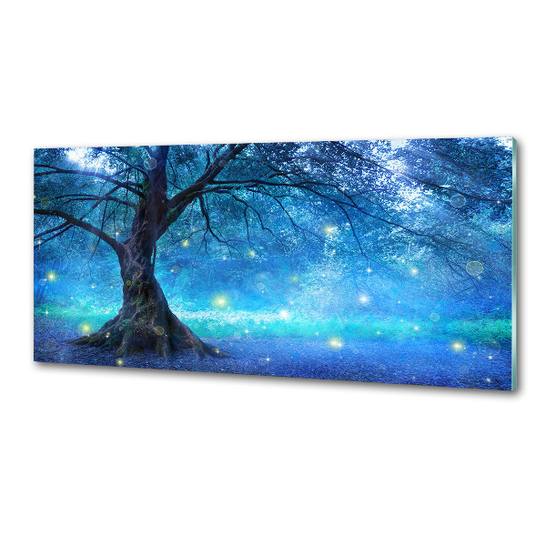 Keuken achterwand Mysterieus bos