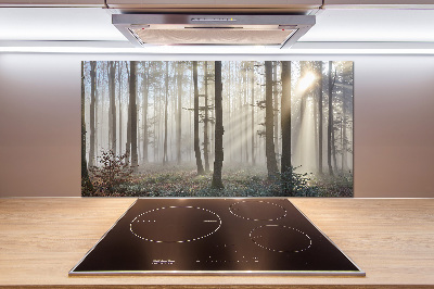 Glazen achterwand keuken Mist in het bos
