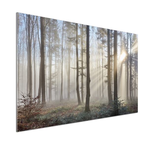Glazen achterwand keuken Mist in het bos