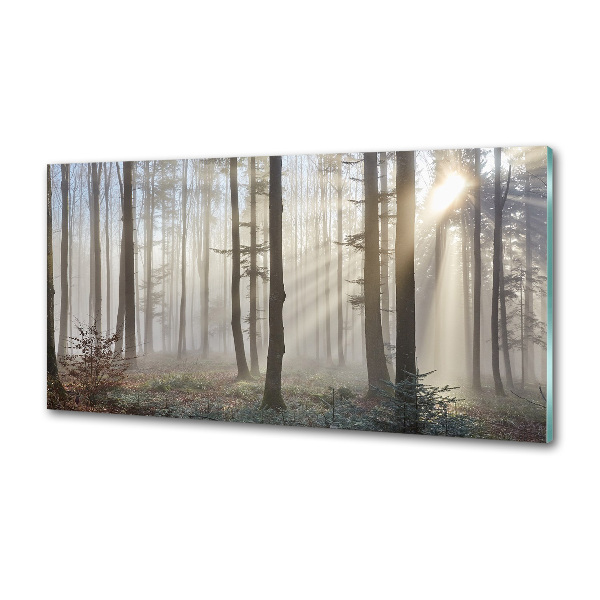 Glazen achterwand keuken Mist in het bos