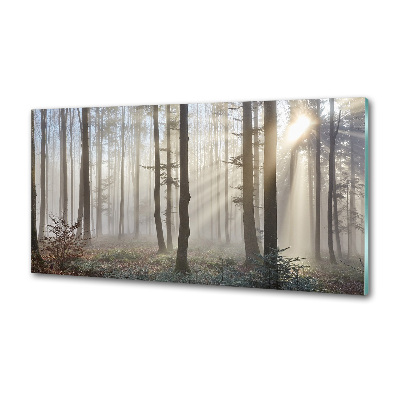 Glazen achterwand keuken Mist in het bos