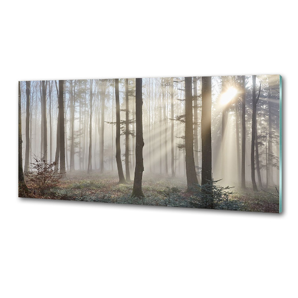 Glazen achterwand keuken Mist in het bos