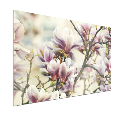 Keuken achterwand Magnolia