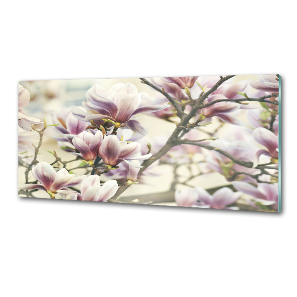 Keuken achterwand Magnolia