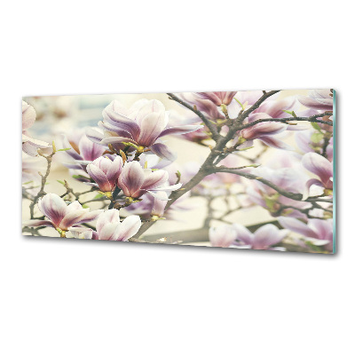 Keuken achterwand Magnolia
