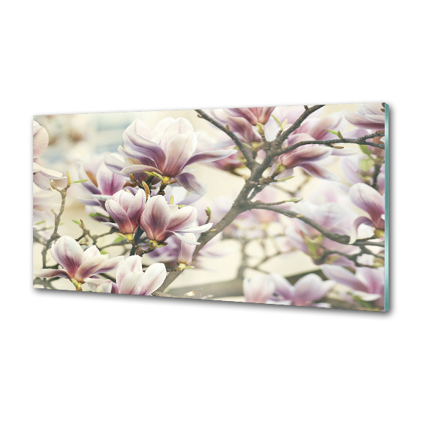 Keuken achterwand Magnolia