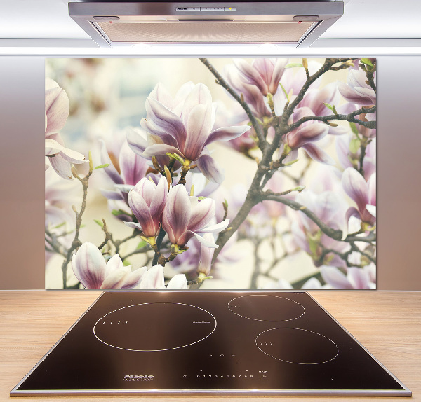 Keuken achterwand Magnolia