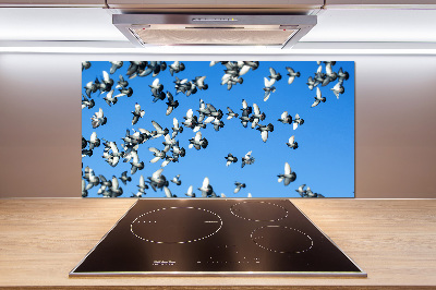 Keuken achterwand Een zwerm duiven