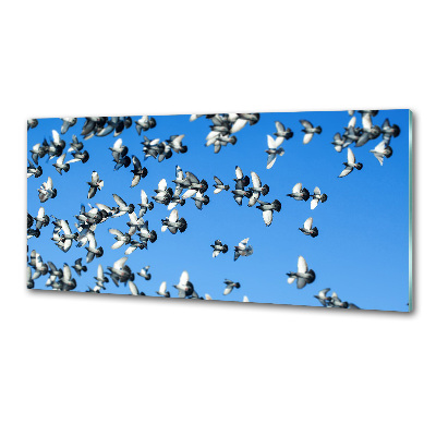 Keuken achterwand Een zwerm duiven