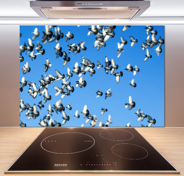 Keuken achterwand Een zwerm duiven
