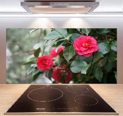 Glazen achterwand keuken Camelia