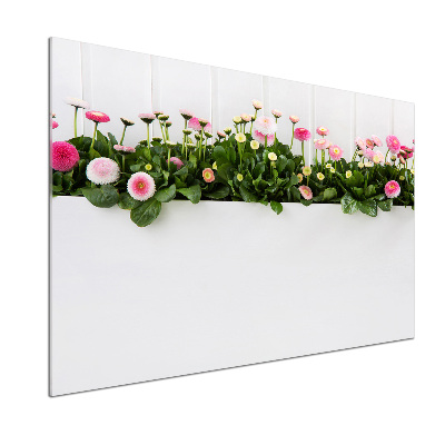 Spatscherm keuken Roze madeliefjes