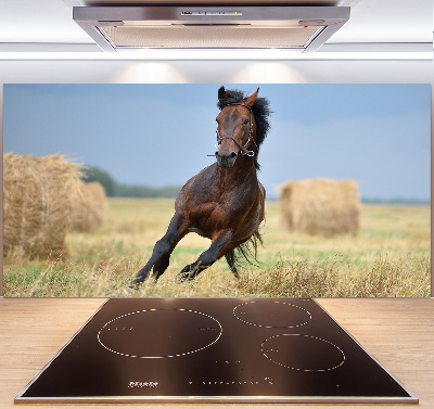 Achterwand keuken Een galopperend paard