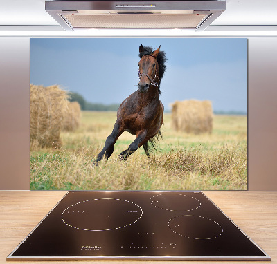 Achterwand keuken Een galopperend paard