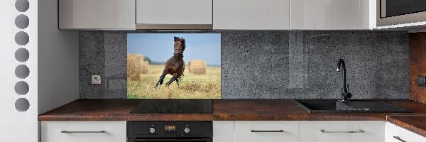 Achterwand keuken Een galopperend paard
