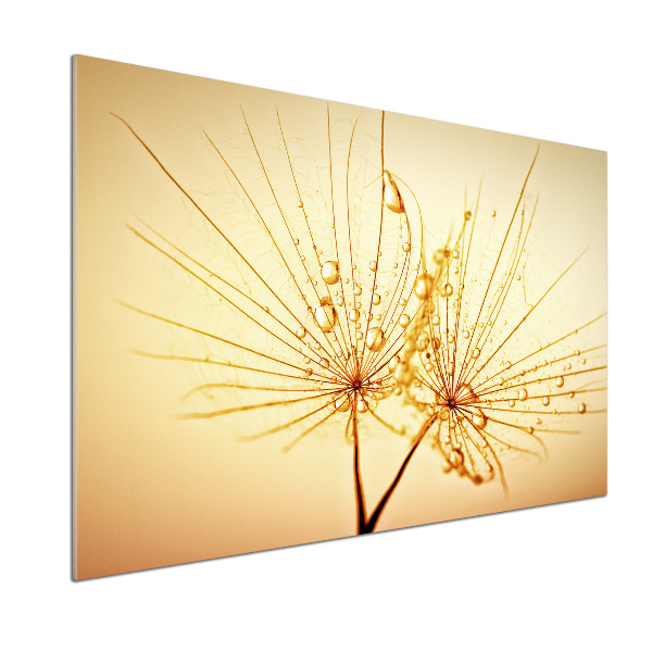 Achterwand keuken Paardenbloemzaden