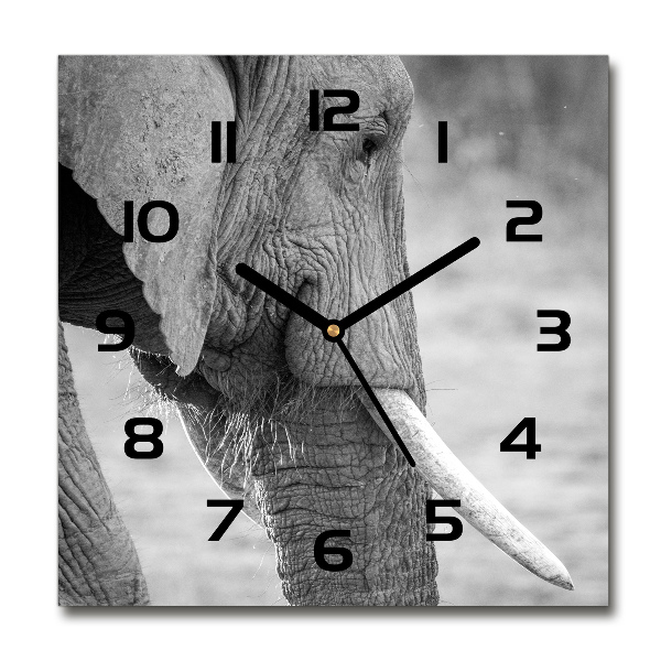 Vierkante glazen klok Olifant