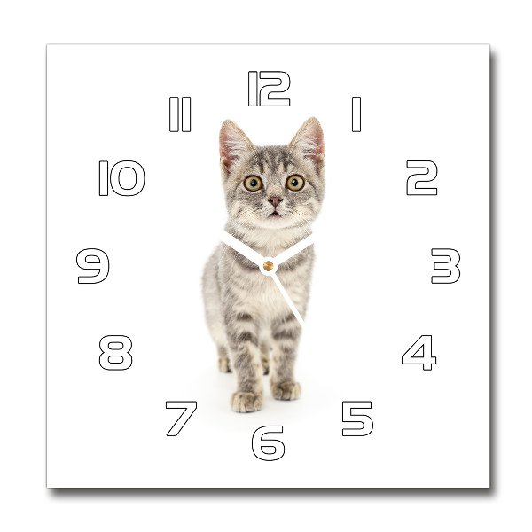 Vierkante glazen wandklok Grijze kat