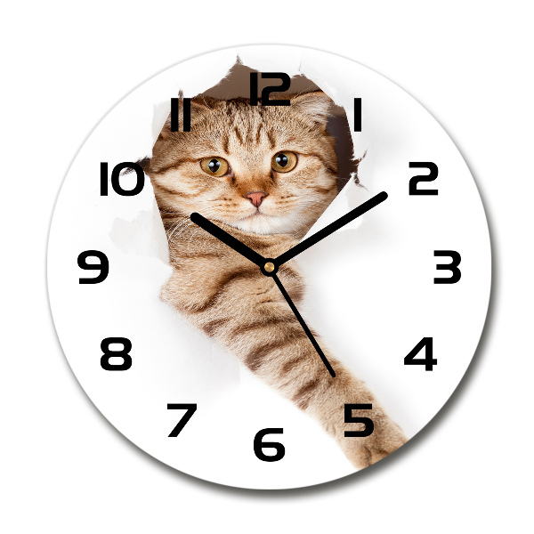 Ronde glas klok Kat