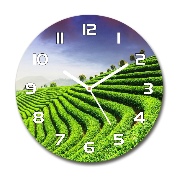 Ronde glazen klok theeplantage