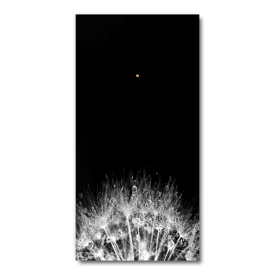 Rechthoekige glas klok Paardenbloemzaden