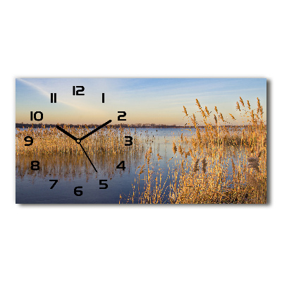 Langwerpige wandklok van glas Waterriet