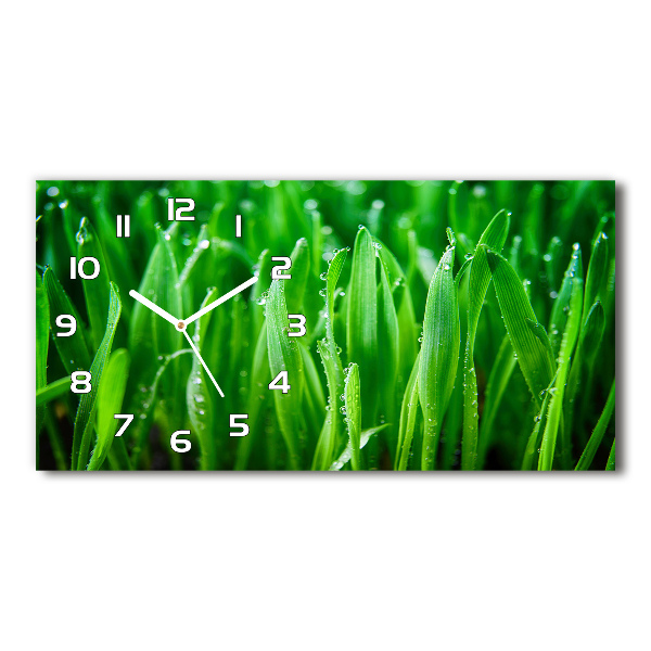 Glazen wandklok rechthoekig Gras