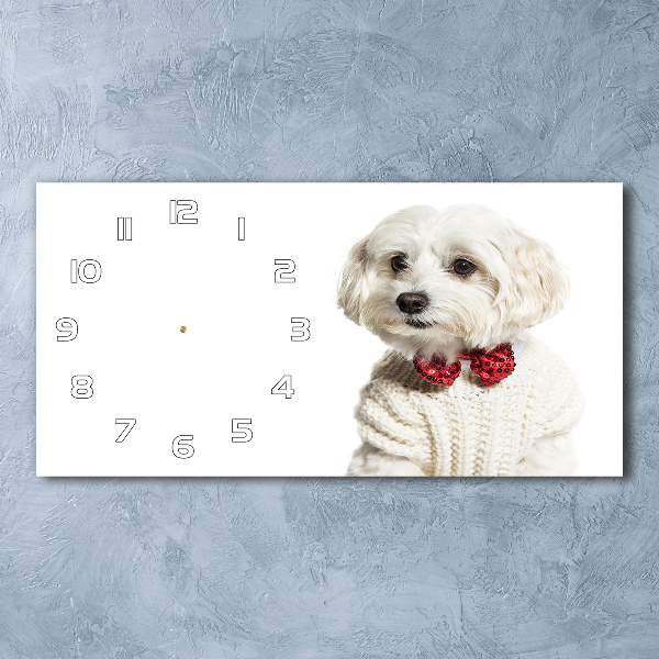 Glazen klok horizontaal Maltezer met een vlinderdas