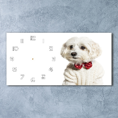 Glazen klok horizontaal Maltezer met een vlinderdas