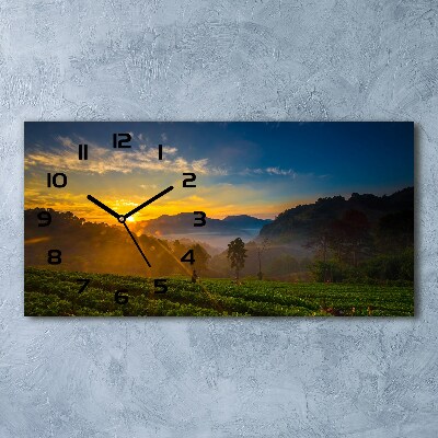 Glazen klok horizontaal theeplantage