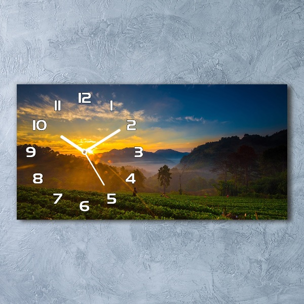 Glazen klok horizontaal theeplantage