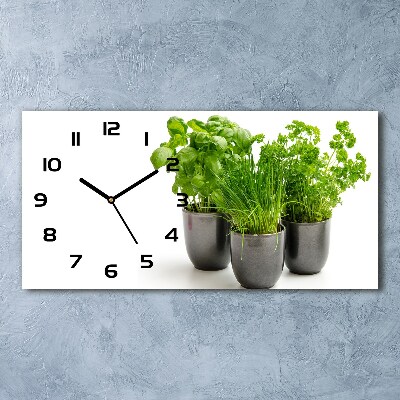 Glazen klok horizontaal Kruiden in potten