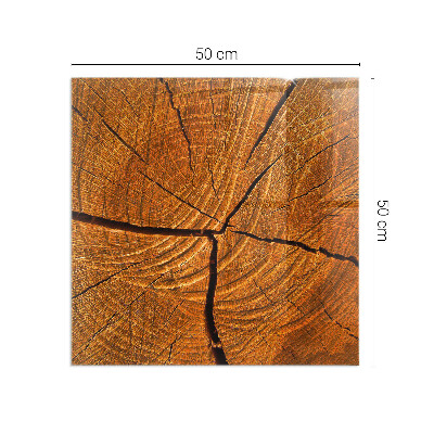 Plaat voor onder kachel Een dwarsdoorsnede van hout met een duidelijke nerf.