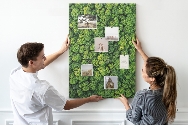 Prikbord van kurk met een afbeelding van een groen bos vanuit vogelperspectief